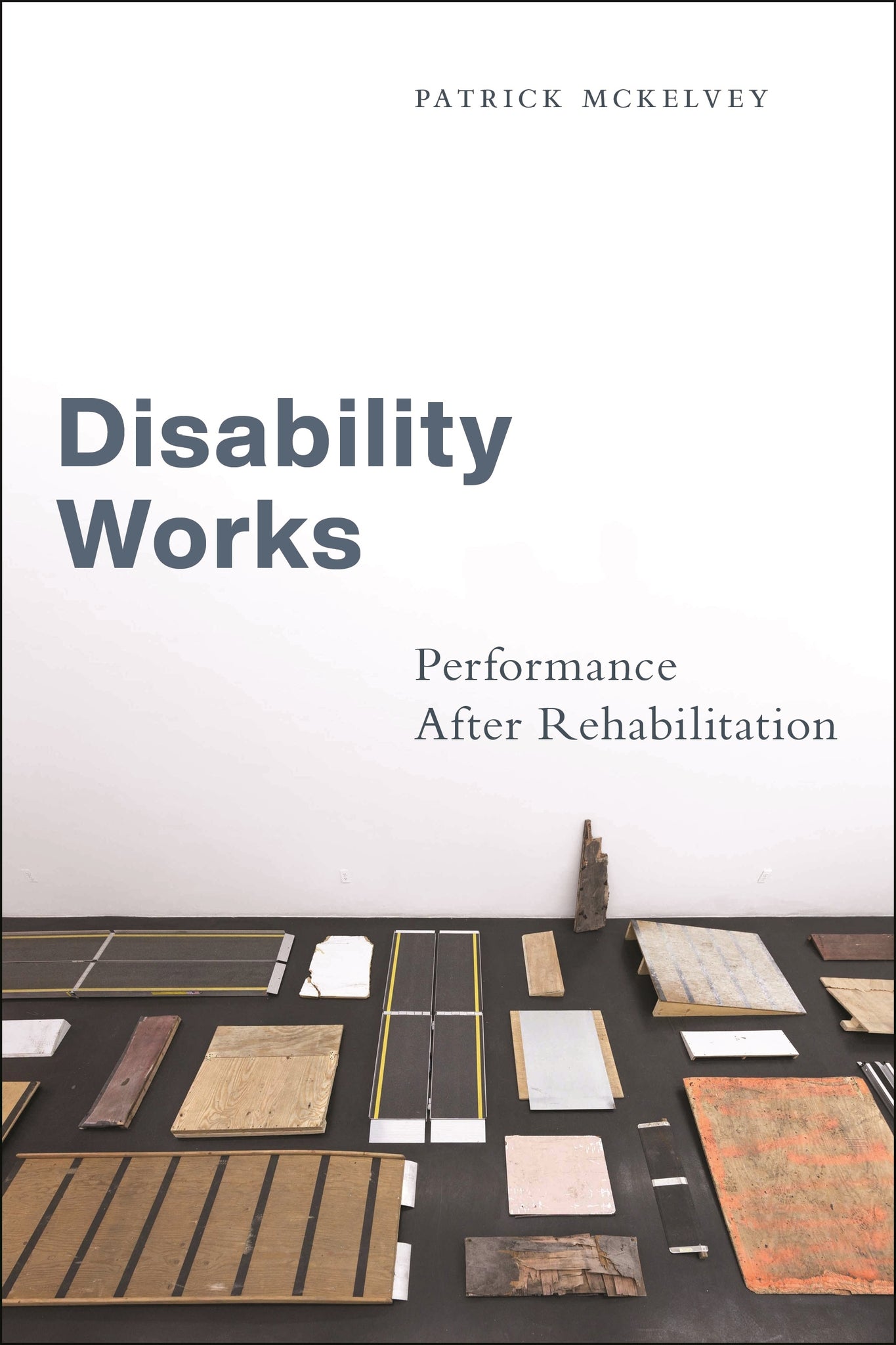 Cover image for Disability Works ISBN 9781479824861